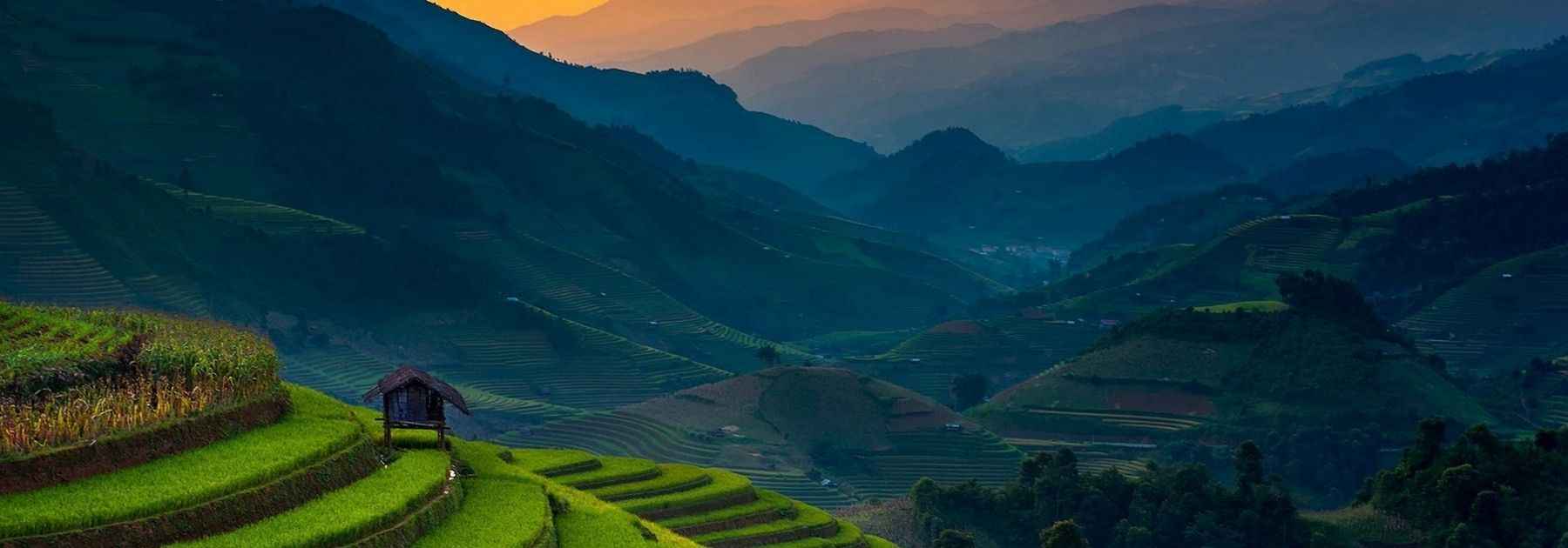 vaccines for vietnam