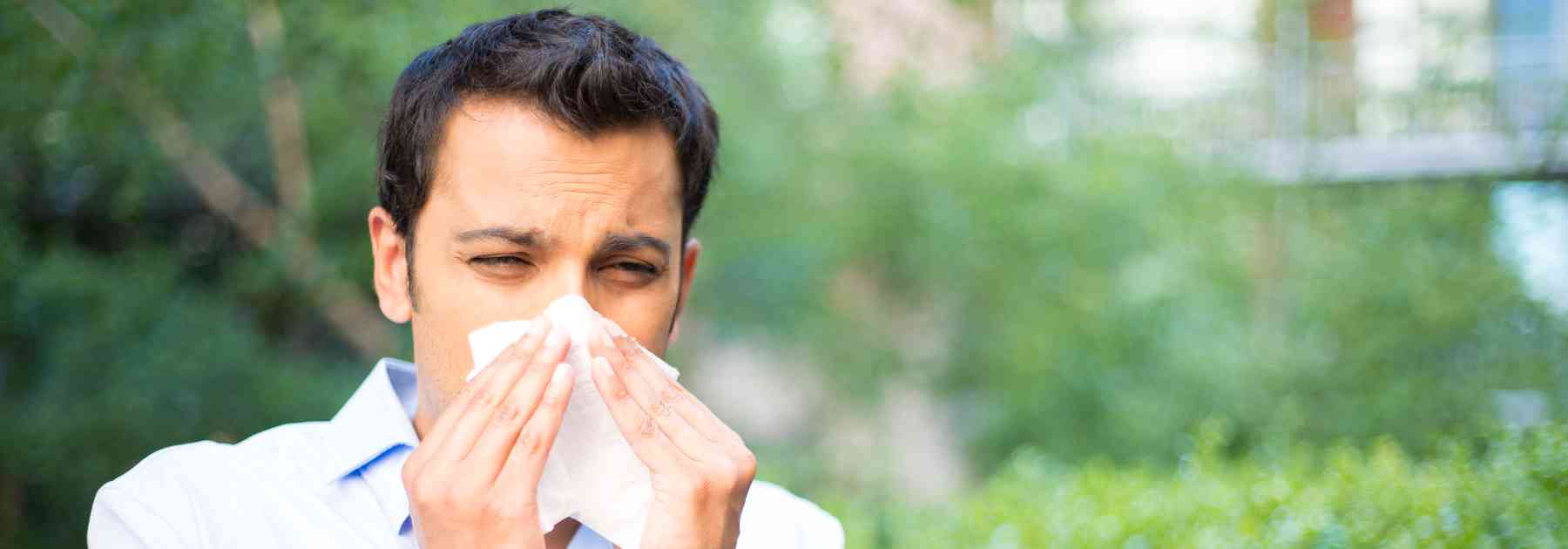 nasal spray for sinus congestion