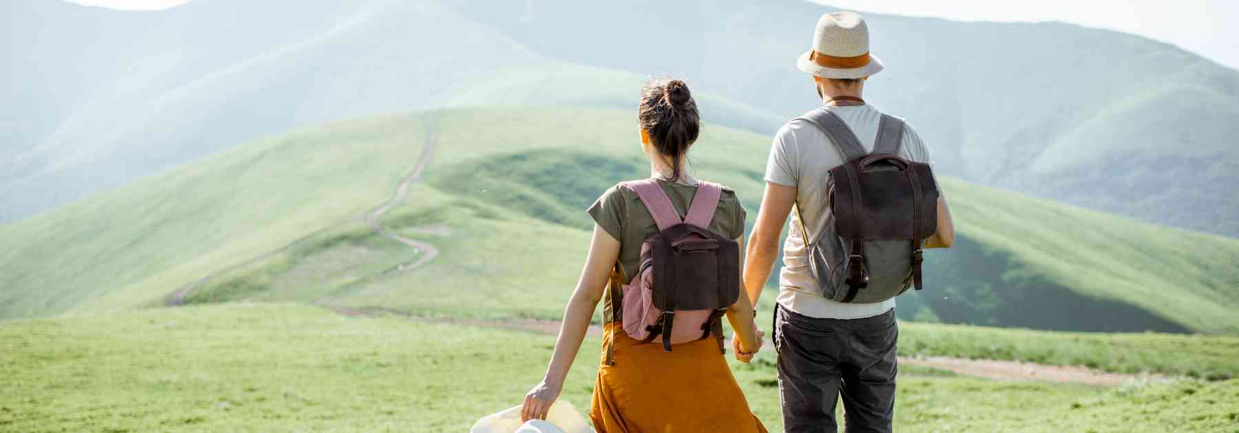 how to use a tick remover tool safely